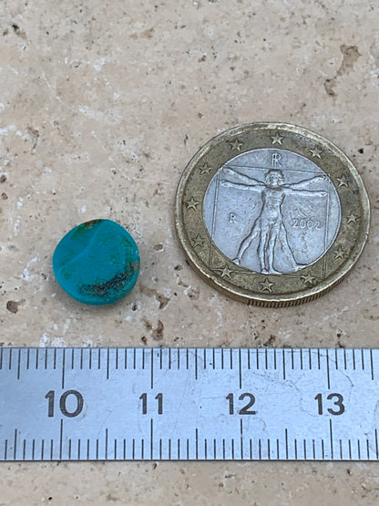 Turquoise, cabochon AAA de 10mm x10 x5 - 3,5 carats. Parfait en bijouterie, collection ,exposition...