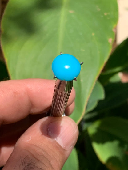 Turquoise, cabochon AAA de 10mm x10 x5 - 3,5 carats. Parfait en bijouterie, collection ,exposition...