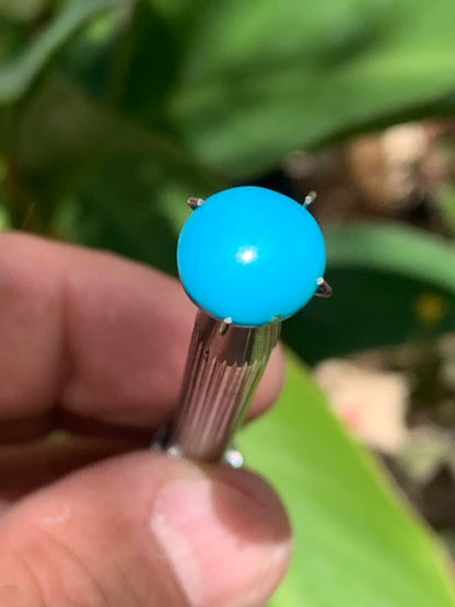 Turquoise, cabochon AAA de 10mm x10 x5 - 3,5 carats. Parfait en bijouterie, collection ,exposition...