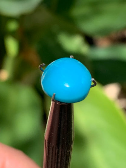 Turquoise, cabochon AAA de 10mm x10 x5 - 3,5 carats. Parfait en bijouterie, collection ,exposition...