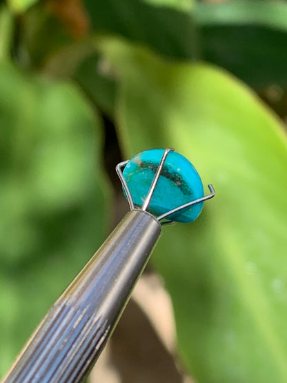 Turquoise, cabochon AAA de 10mm x10 x5 - 3,5 carats. Parfait en bijouterie, collection ,exposition...