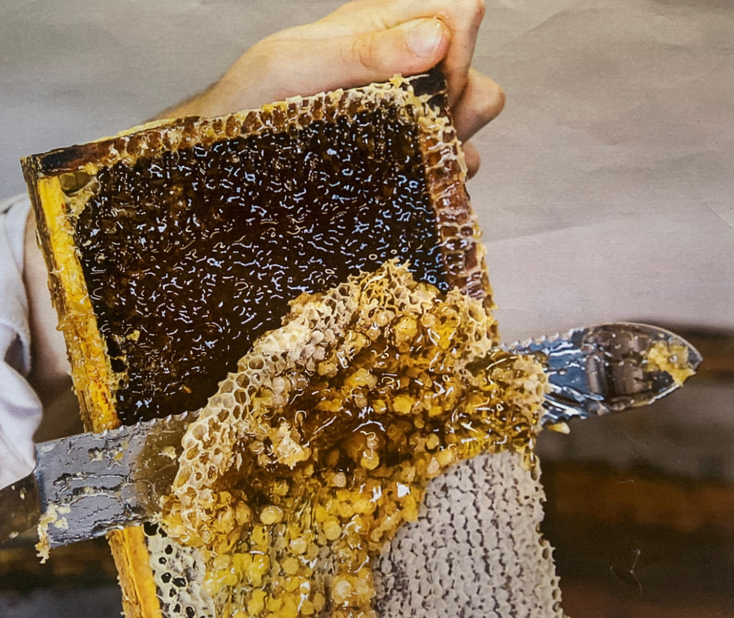 Miel naturel de Haute-Montagne de France (Savoie) - 250/500/1000 g – Médaille d’Argent 2024 – Goûtez nos Variétés Authentiques