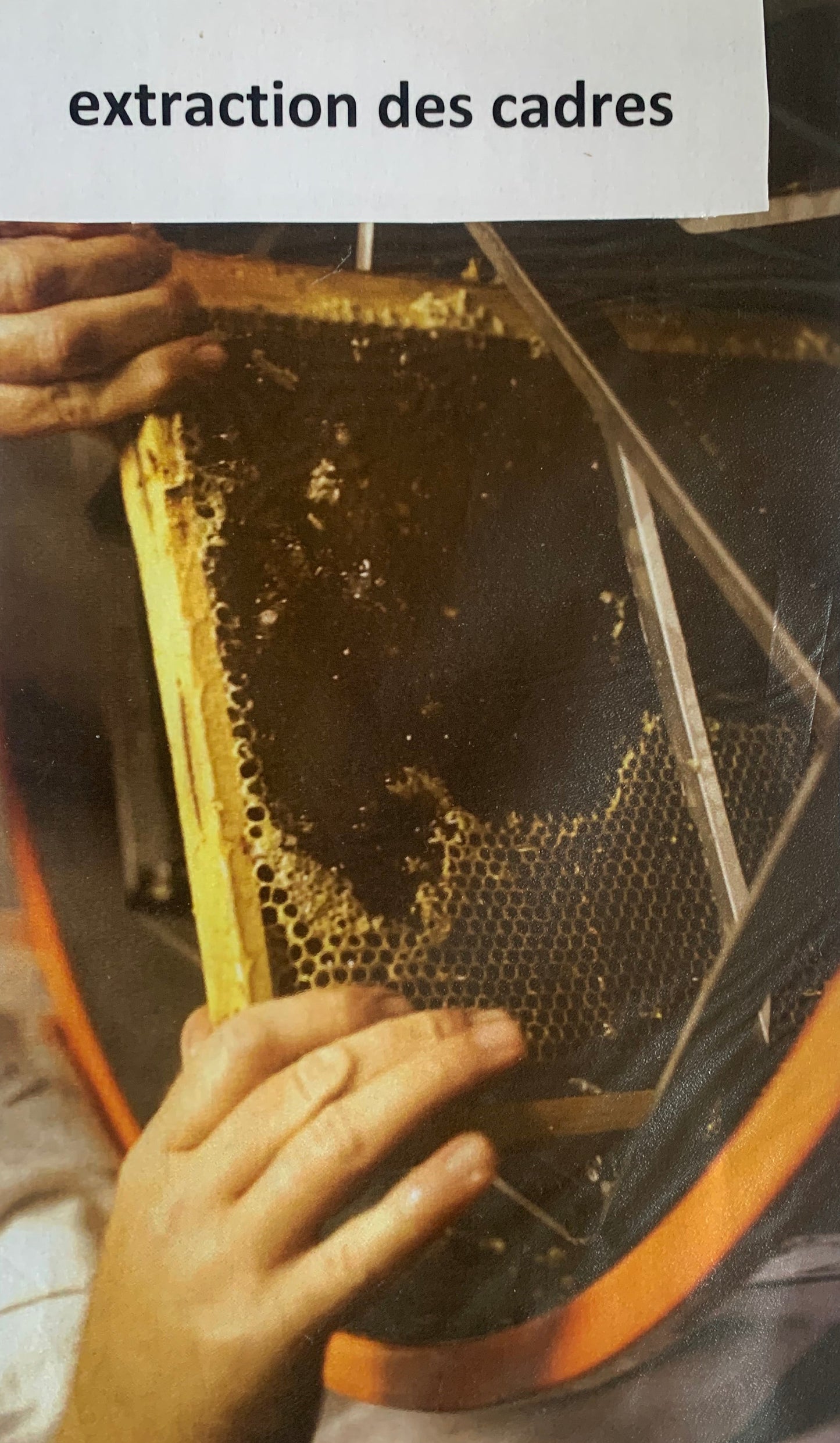 Miel naturel de Haute-Montagne de France (Savoie) - 250/500/1000 g – Médaille d’Argent 2024 – Goûtez nos Variétés Authentiques