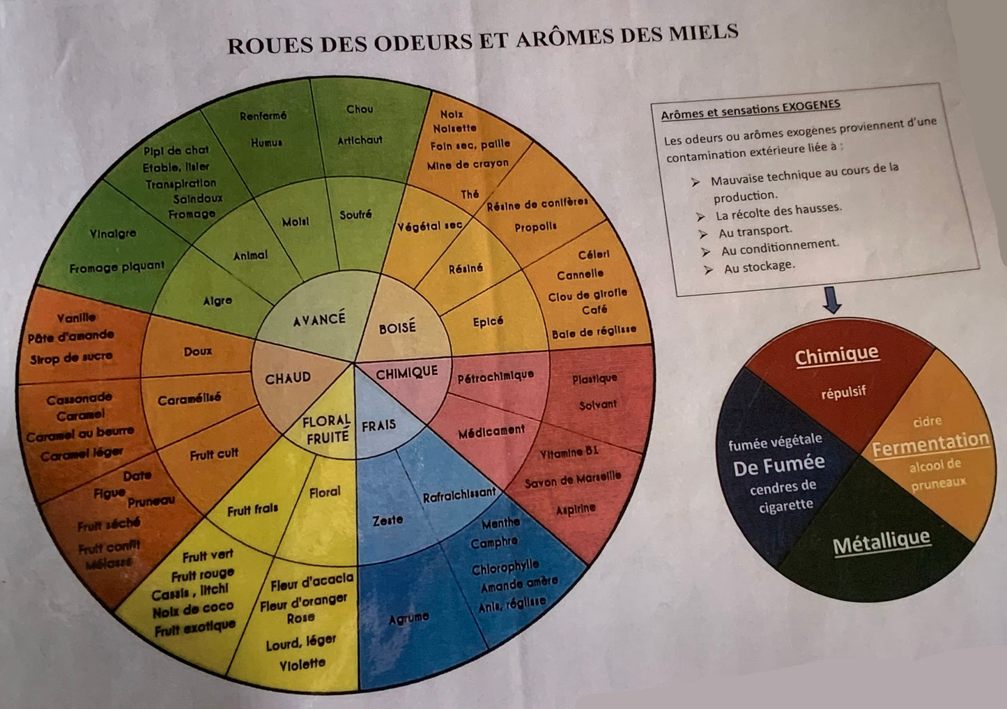 Miel naturel de Haute-Montagne de France (Savoie) - 250/500/1000 g – Médaille d’Argent 2024 – Goûtez nos Variétés Authentiques