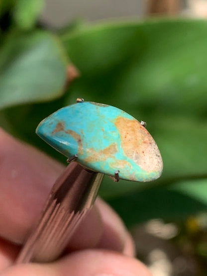 Turquoise, cabochon de 17mm x10 x2 - 2 carats. Parfait en bijouterie, collection ,exposition...