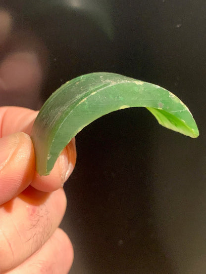 Jadéite - Forme libre, chute de sculpture de Jade Europe - 47 x 23 x 23 mm - 19,8 gr.
