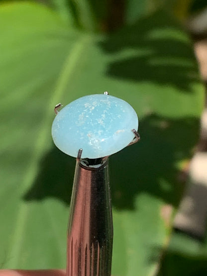 Amazonite, cabochon ancien de 12mm x10 x3 - 3,5 carats. Parfait en bijouterie, collection ,exposition...