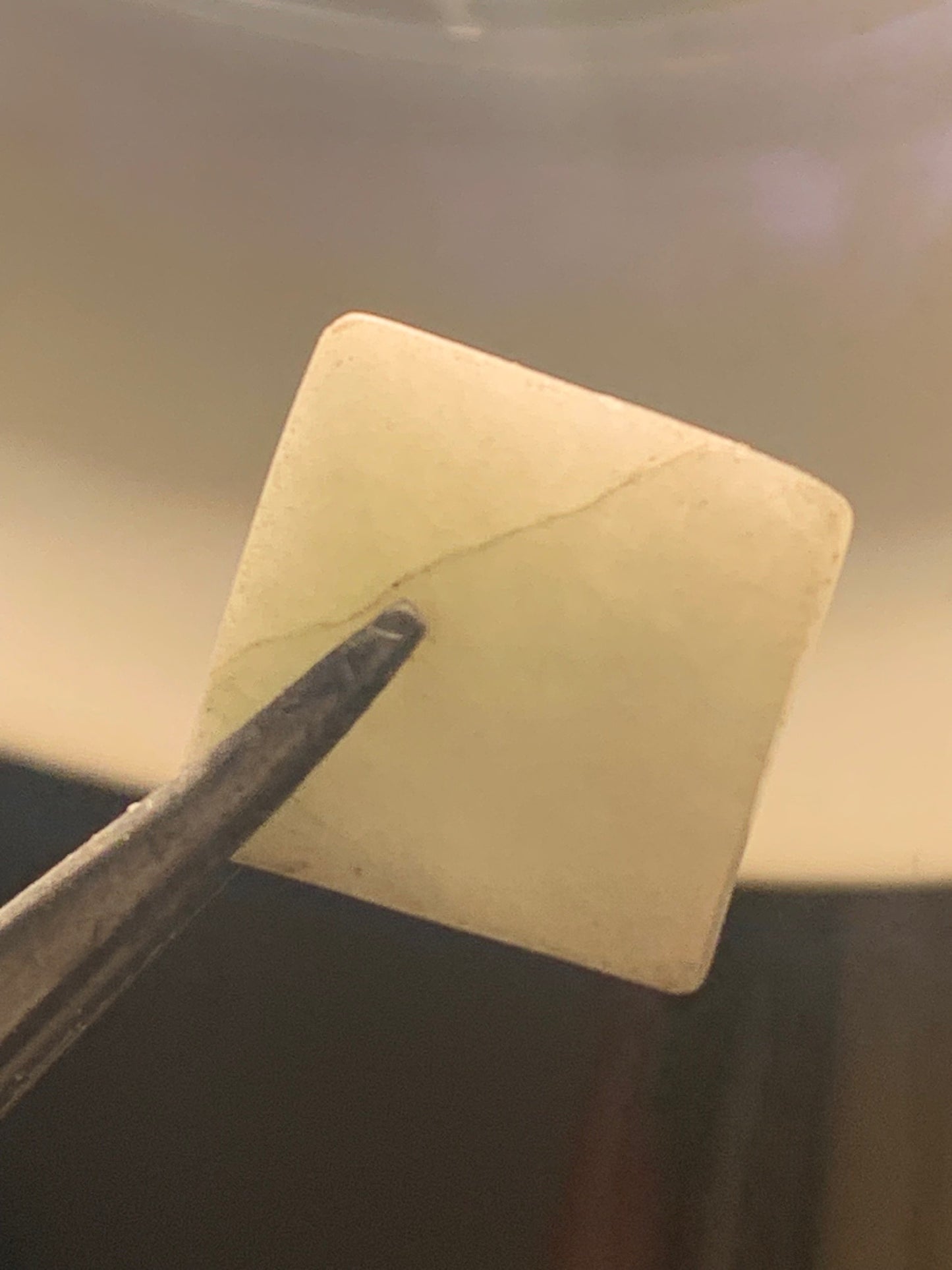Jadéite en cabochon – Lot de 2 échantillons – env. 1 × 1,5 × 3 mm