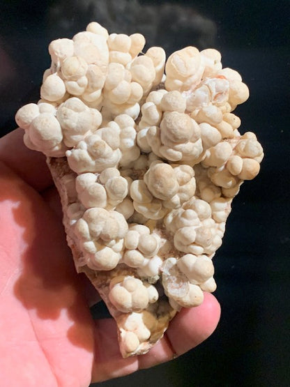 Aragonite blanche botryoïdale, éventuellement appelée aragonite coralloïde ou en grappes - 116 x 77 x 47 mm - 355,6 gr.