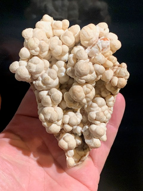 Aragonite blanche botryoïdale, éventuellement appelée aragonite coralloïde ou en grappes - 116 x 77 x 47 mm - 355,6 gr.