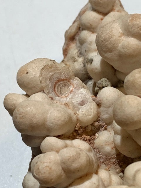 Aragonite blanche botryoïdale, éventuellement appelée aragonite coralloïde ou en grappes - 116 x 77 x 47 mm - 355,6 gr.