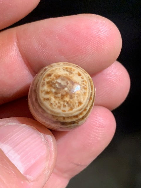 Aragonite, coeur de cristal roulée - 25 x 18 mm de diamètre - 13,1 gr.