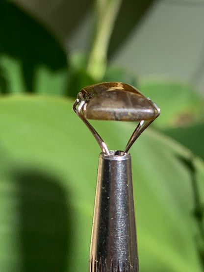 Oeil de tigre, cabochon de 14mm x10 x4 - 1,1 gramme/ 5,5 carats. Parfait en bijouterie, collection ,exposition...