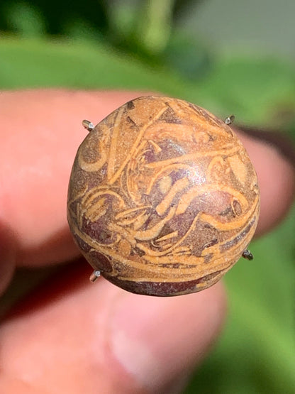Stromatolite, cabochon de 16mm x16 x6 - 11,5 carats. Parfait en bijouterie, collection ,exposition...