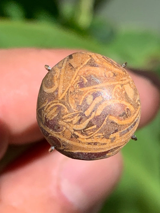 Stromatolite, cabochon de 16mm x16 x6 - 11,5 carats. Parfait en bijouterie, collection ,exposition...