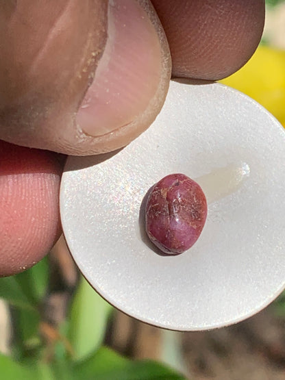 Rubis, cabochon de 10mm x7 x3 - 2,5 carats. Parfait en bijouterie, collection ,exposition...