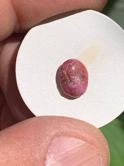 Rubis, cabochon de 10mm x7 x3 - 2,5 carats. Parfait en bijouterie, collection ,exposition...