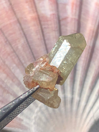 Apatite jaune, de 24mm x14 x10 environ - 16,5 carats. Parfait en bijouterie, collection ,exposition...