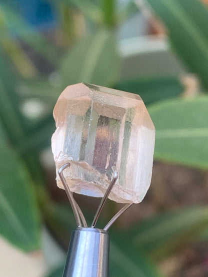 Topaze Impériale, superbe cristal naturel de 15mm x10 x10 - 3,9 grammes/ 19,5 carats. Belle pièce de collection, unique et assez rare !