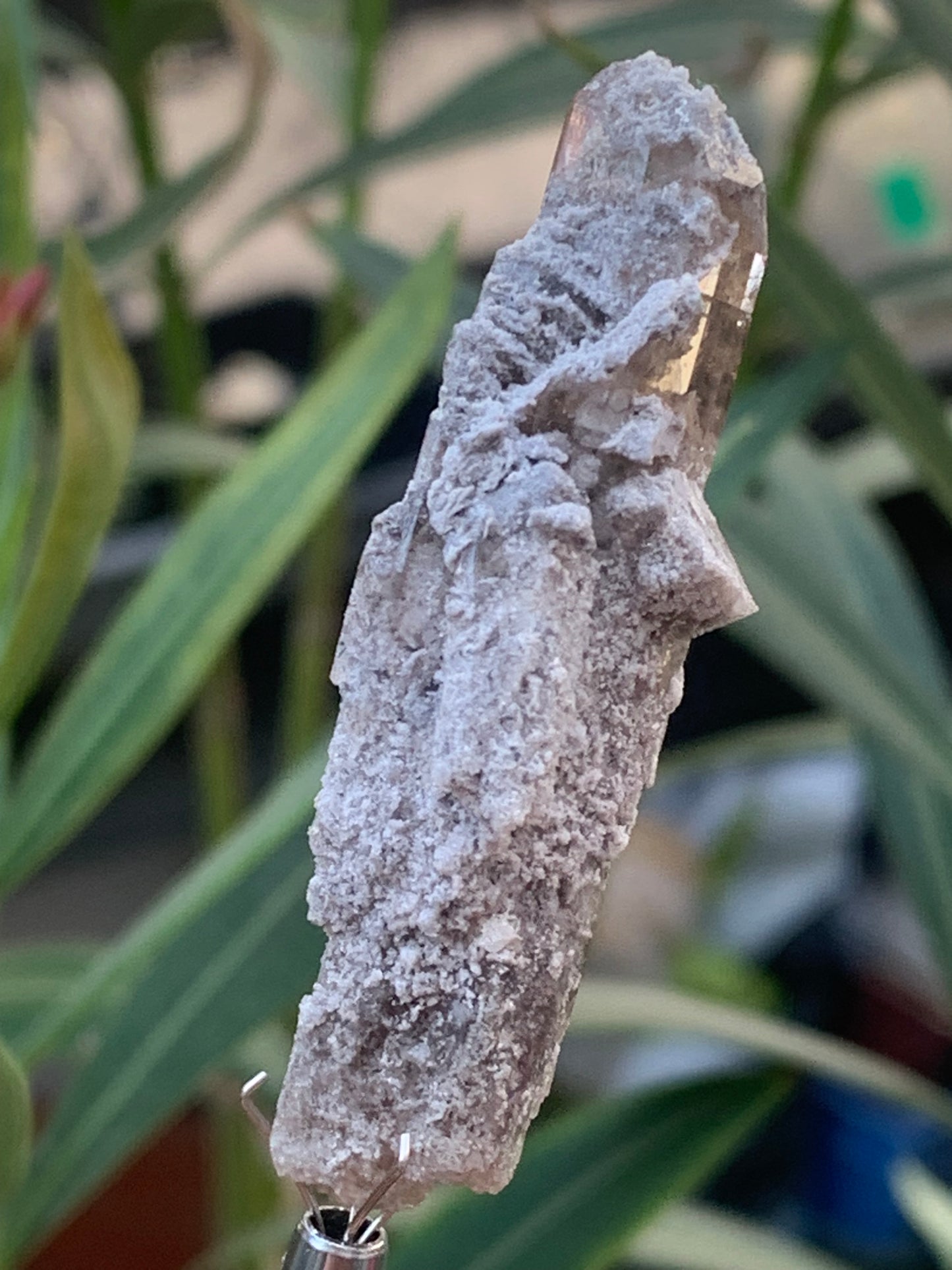 Topaze Impériale, superbe cristal naturel de 55mm x18 x15 - 13,1 grammes. Belle pièce de collection, unique et assez rare !