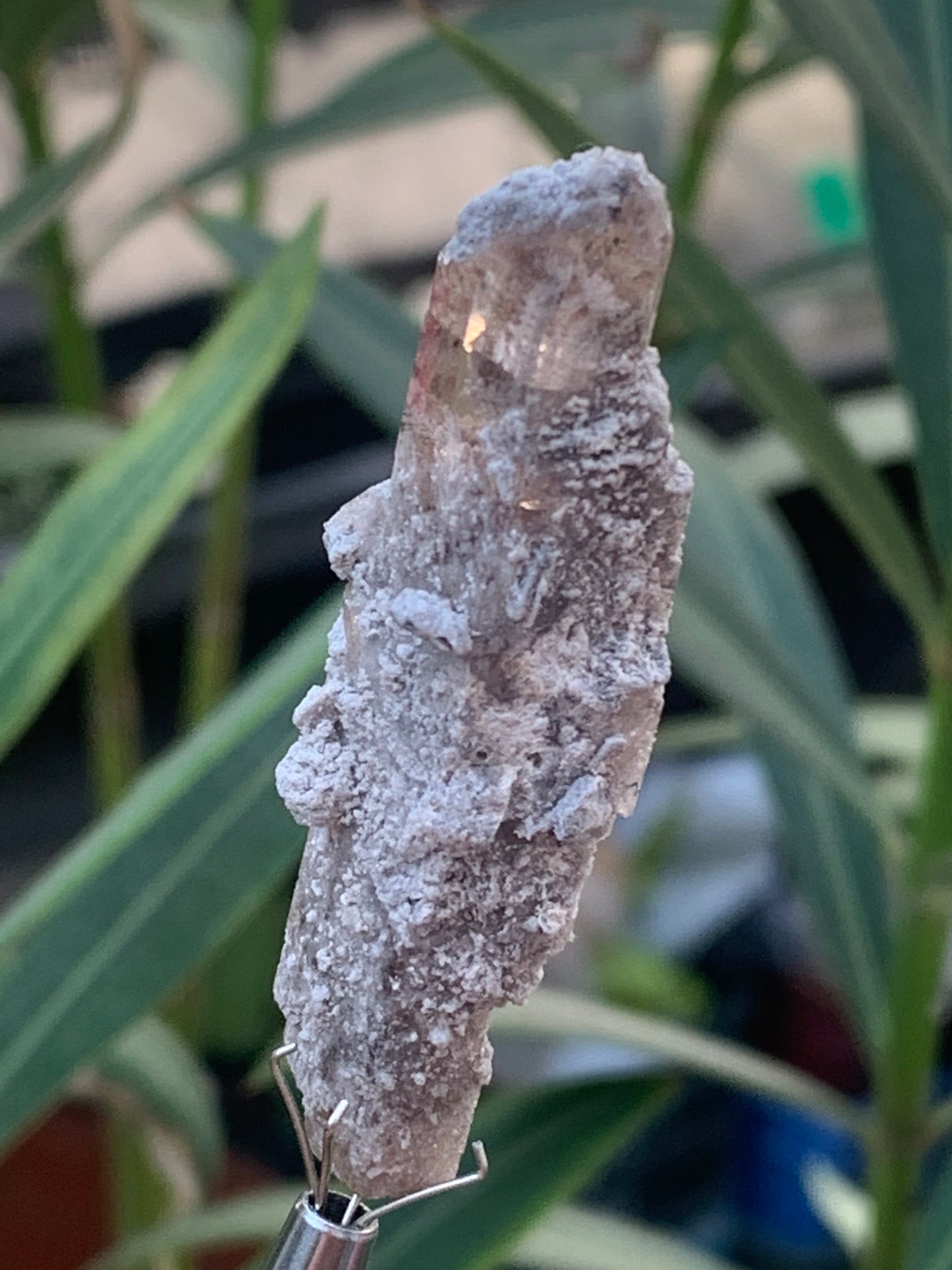 Topaze Impériale, superbe cristal naturel de 55mm x18 x15 - 13,1 grammes. Belle pièce de collection, unique et assez rare !