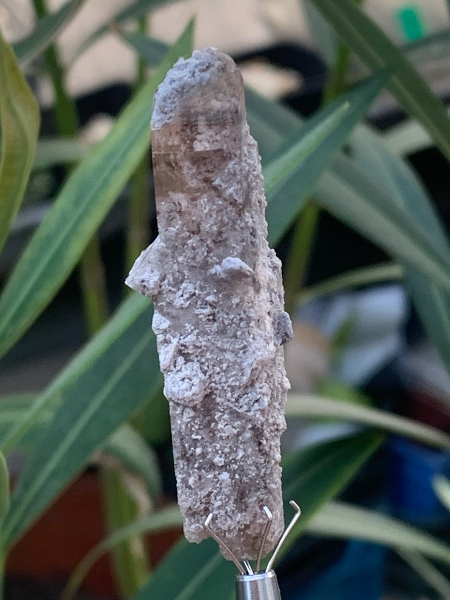 Topaze Impériale, superbe cristal naturel de 55mm x18 x15 - 13,1 grammes. Belle pièce de collection, unique et assez rare !