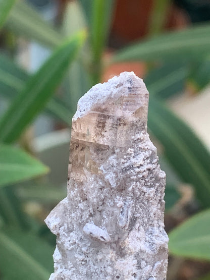 Topaze Impériale, superbe cristal naturel de 55mm x18 x15 - 13,1 grammes. Belle pièce de collection, unique et assez rare !