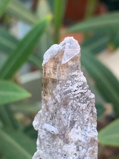 Topaze Impériale, superbe cristal naturel de 55mm x18 x15 - 13,1 grammes. Belle pièce de collection, unique et assez rare !