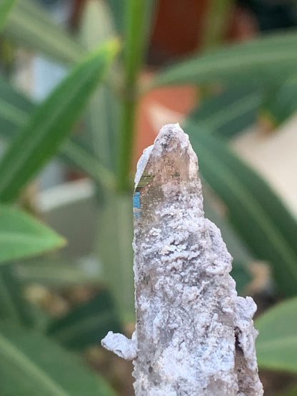 Topaze Impériale, superbe cristal naturel de 55mm x18 x15 - 13,1 grammes. Belle pièce de collection, unique et assez rare !
