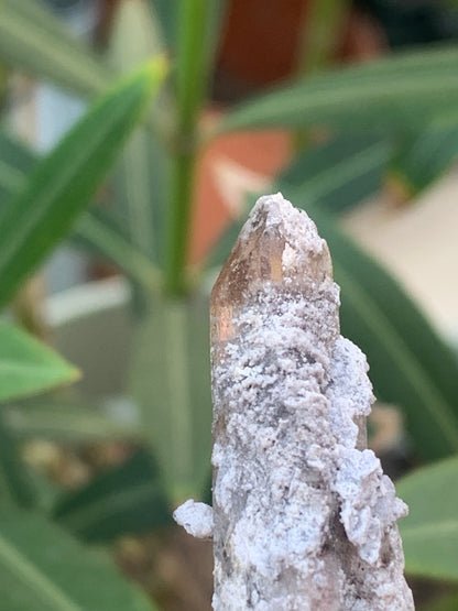Topaze Impériale, superbe cristal naturel de 55mm x18 x15 - 13,1 grammes. Belle pièce de collection, unique et assez rare !