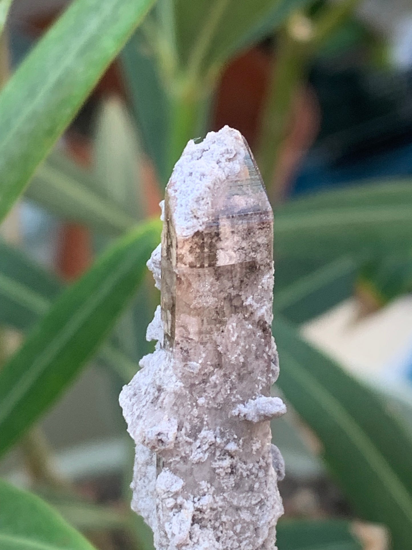 Topaze Impériale, superbe cristal naturel de 55mm x18 x15 - 13,1 grammes. Belle pièce de collection, unique et assez rare !