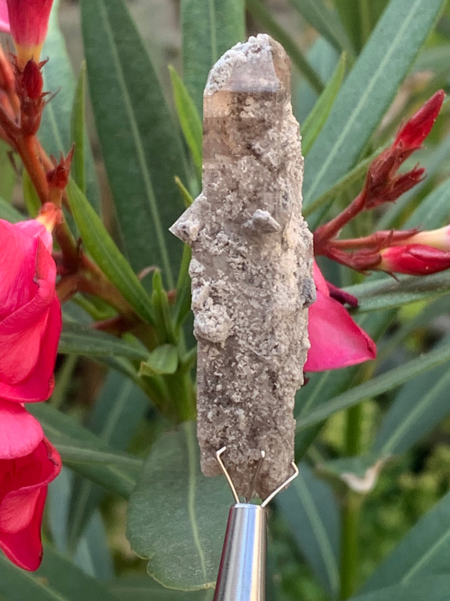 Topaze Impériale, superbe cristal naturel de 55mm x18 x15 - 13,1 grammes. Belle pièce de collection, unique et assez rare !