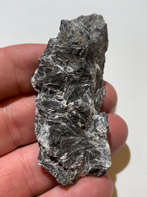 Ludwigite, spécimen brut et naturel, collection ancienne - 70 x 33 x 19 mm - 47,6 gr.