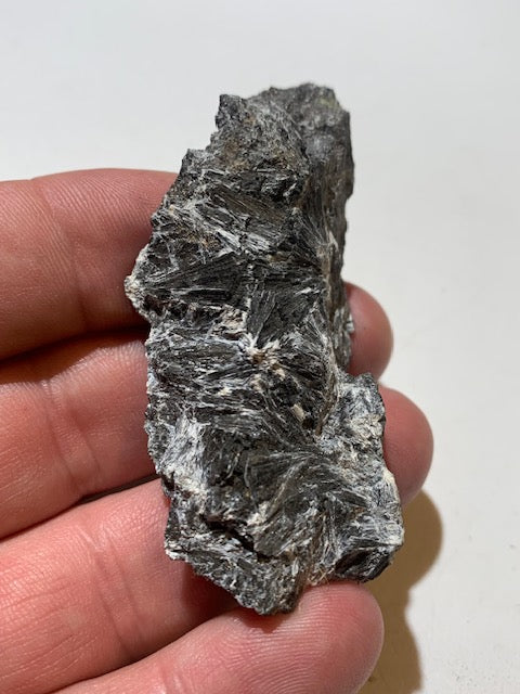 Ludwigite, spécimen brut et naturel, collection ancienne - 70 x 33 x 19 mm - 47,6 gr.