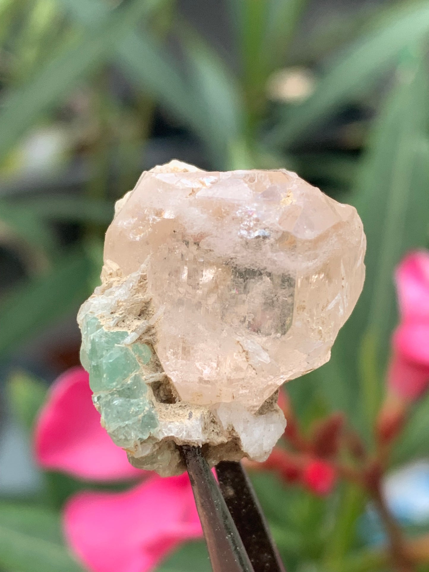 Topaze Impériale avec Aigue-marine, superbe cristal naturel de 25mm x18 x18 - 11,2 grammes. Belle pièce de collection, unique et assez rare !