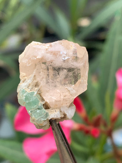 Topaze Impériale avec Aigue-marine, superbe cristal naturel de 25mm x18 x18 - 11,2 grammes. Belle pièce de collection, unique et assez rare !