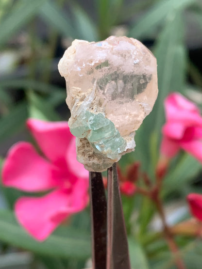 Topaze Impériale avec Aigue-marine, superbe cristal naturel de 25mm x18 x18 - 11,2 grammes. Belle pièce de collection, unique et assez rare !