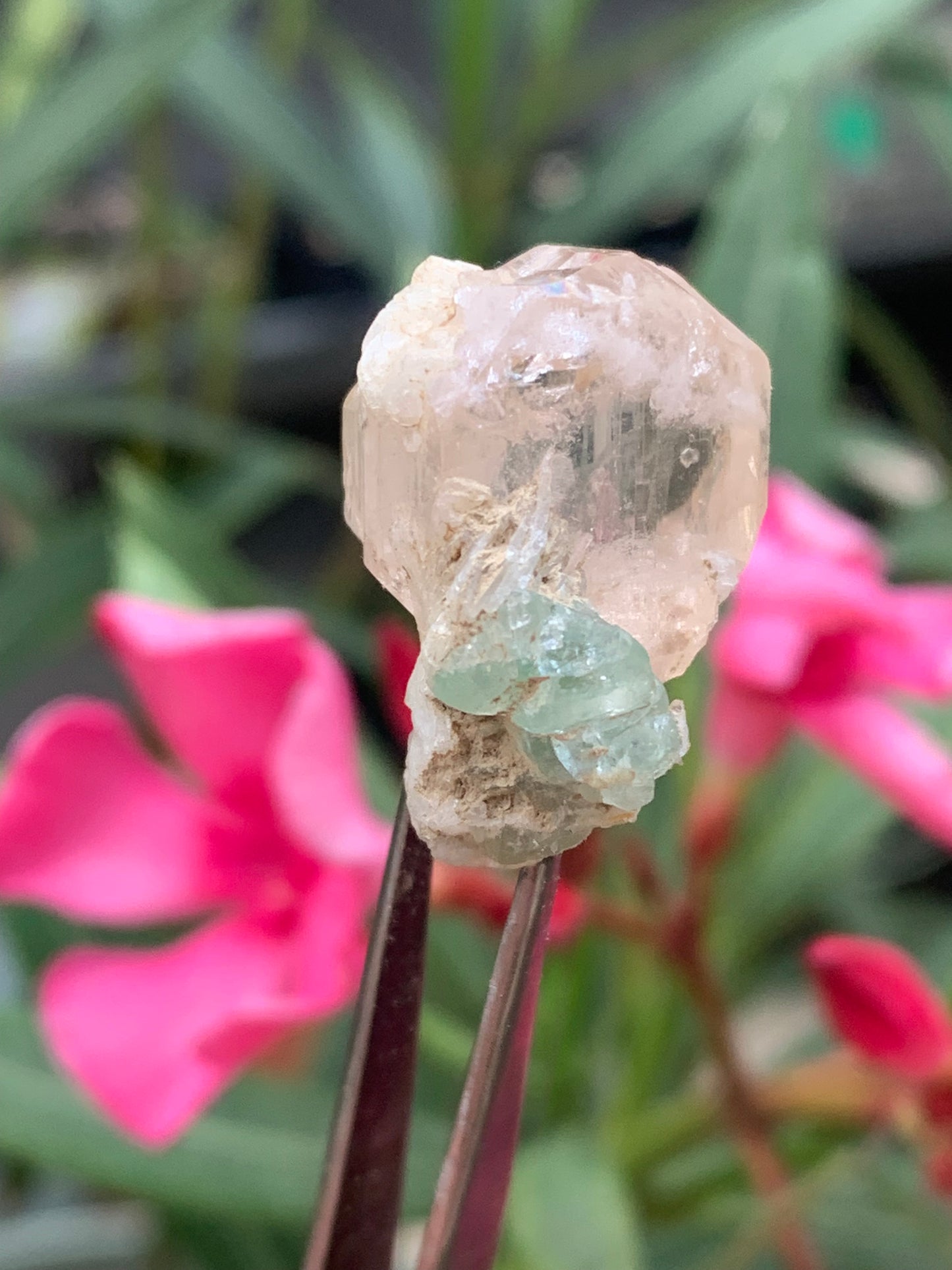 Topaze Impériale avec Aigue-marine, superbe cristal naturel de 25mm x18 x18 - 11,2 grammes. Belle pièce de collection, unique et assez rare !