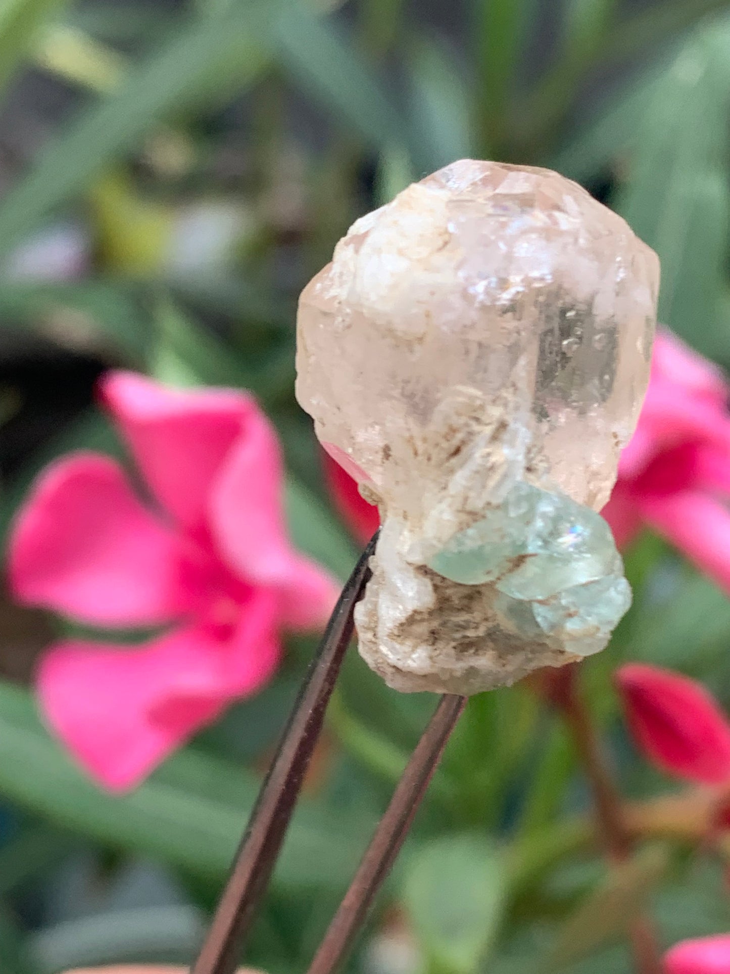 Topaze Impériale avec Aigue-marine, superbe cristal naturel de 25mm x18 x18 - 11,2 grammes. Belle pièce de collection, unique et assez rare !
