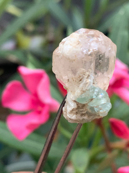 Topaze Impériale avec Aigue-marine, superbe cristal naturel de 25mm x18 x18 - 11,2 grammes. Belle pièce de collection, unique et assez rare !