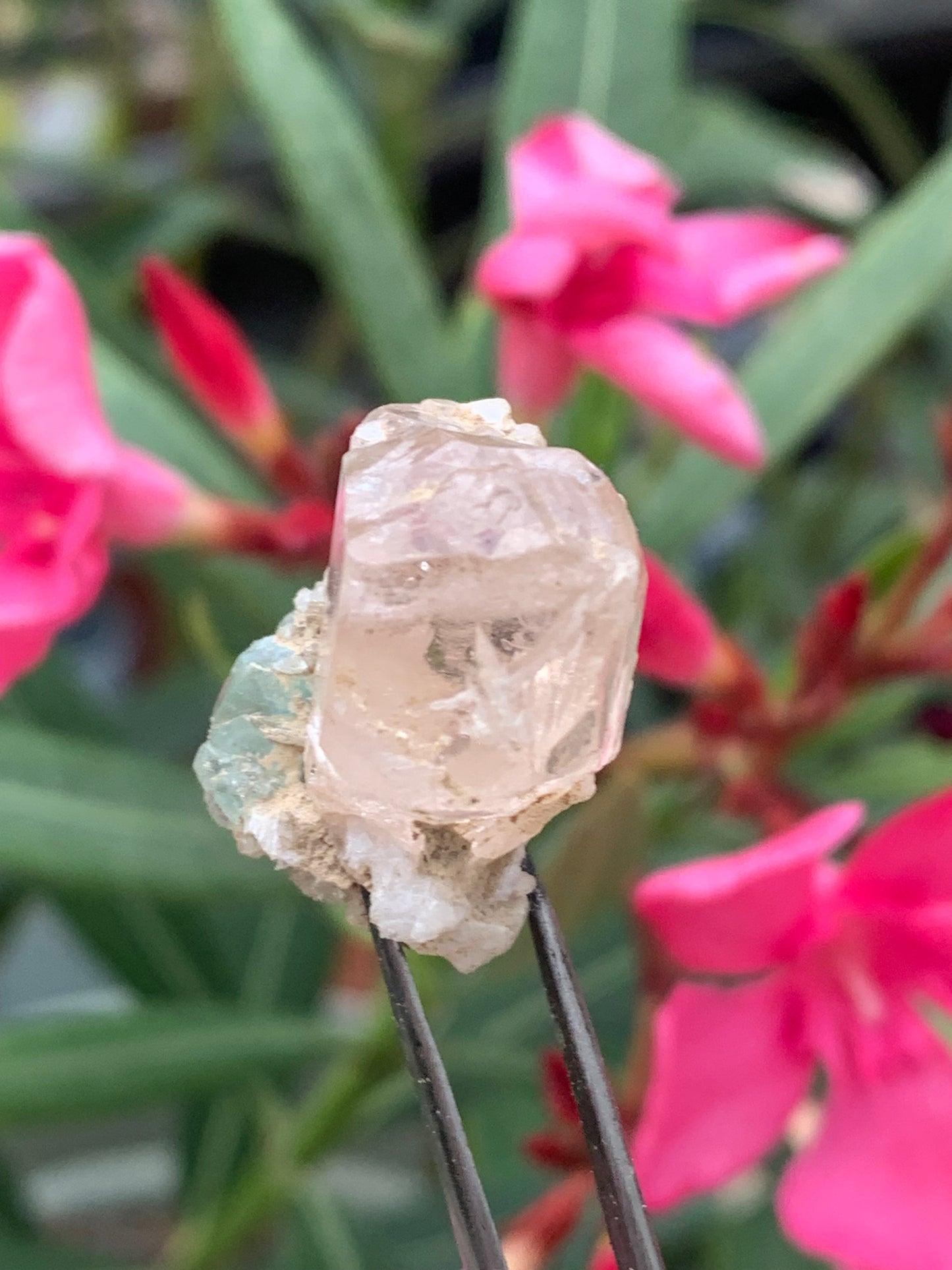 Topaze Impériale avec Aigue-marine, superbe cristal naturel de 25mm x18 x18 - 11,2 grammes. Belle pièce de collection, unique et assez rare !