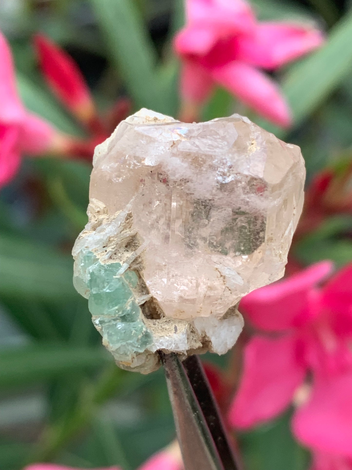 Topaze Impériale avec Aigue-marine, superbe cristal naturel de 25mm x18 x18 - 11,2 grammes. Belle pièce de collection, unique et assez rare !