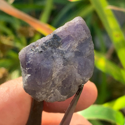 Tanzanite, spécimen brut de 32mm x21 x20 - 18 grammes. Parfait en collection, exposition, lapidage...