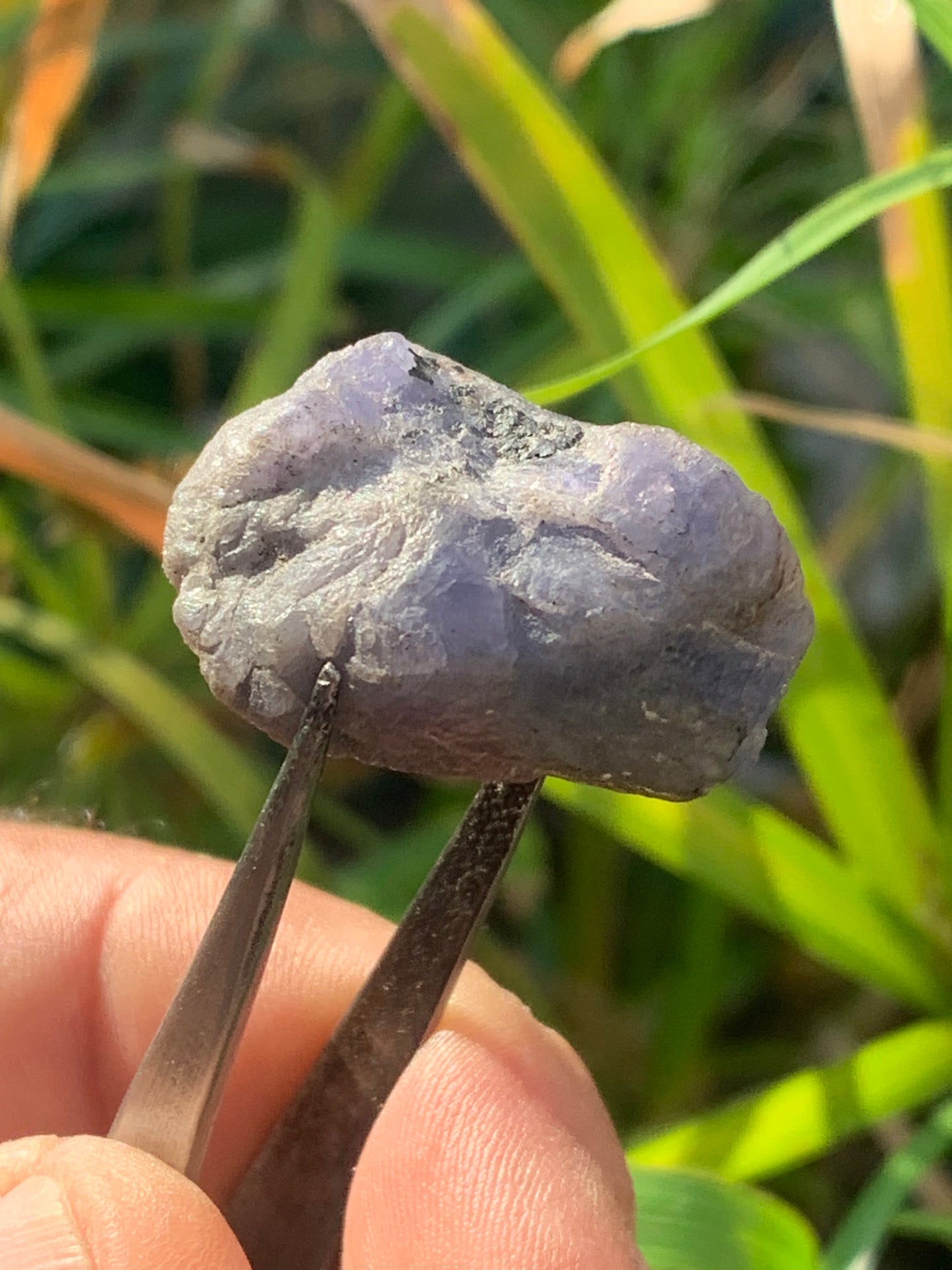 Tanzanite, spécimen brut de 32mm x21 x20 - 18 grammes. Parfait en collection, exposition, lapidage...