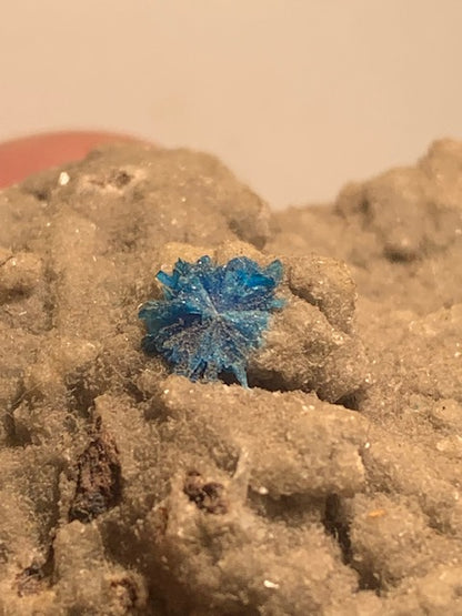 Cavansite, spécimen brut - 65 x 26 x 24 mm - 95 gr.