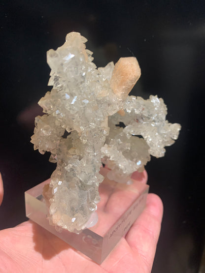 Apophyllite avec Stilbite sur socle – Superbe spécimen naturel, pièce de collection - 📽️ Vidéo disponible