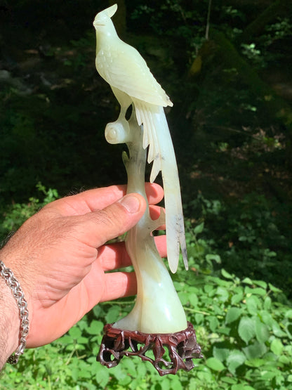Jadéite, sculpture de Paon/ Faisan sur tronc. Sculpté à la main et base en bois ajouré. 28 centimètres de haut x 8 x 6,5. Période 20ème siécle, objet d'art rare, superbe et précieux !