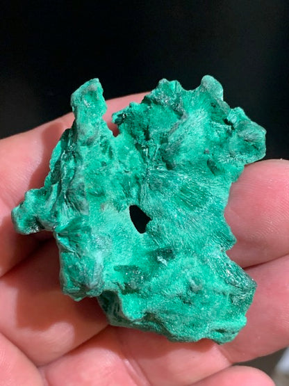 Malachite fibreuse, spécimen brut de 50 mm x 48 x 25 - 36,3 grammes. Parfait pour une collection, exposition ou bijouterie, du velour naturel