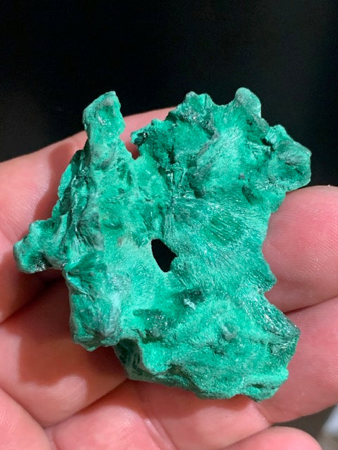 Malachite fibreuse, spécimen brut de 50 mm x 48 x 25 - 36,3 grammes. Parfait pour une collection, exposition ou bijouterie, du velour naturel