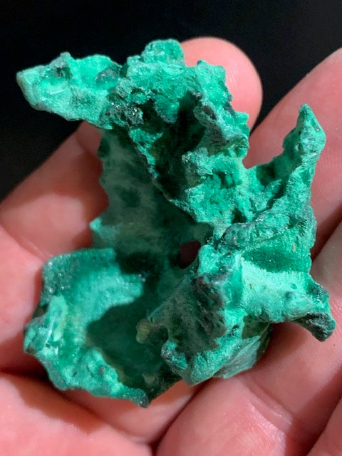 Malachite fibreuse, spécimen brut de 50 mm x 48 x 25 - 36,3 grammes. Parfait pour une collection, exposition ou bijouterie, du velour naturel
